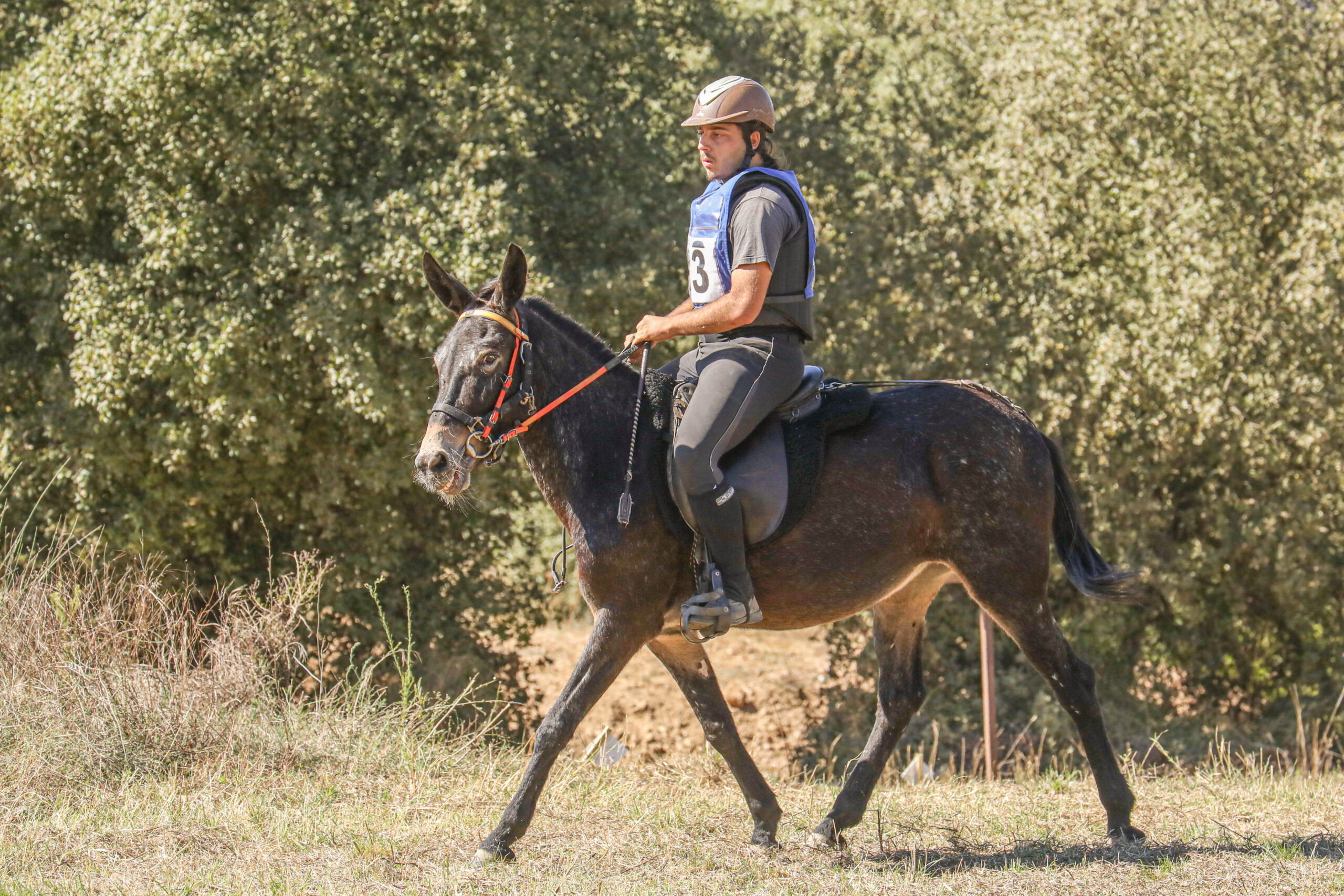 TREC spécial PTV de la londe