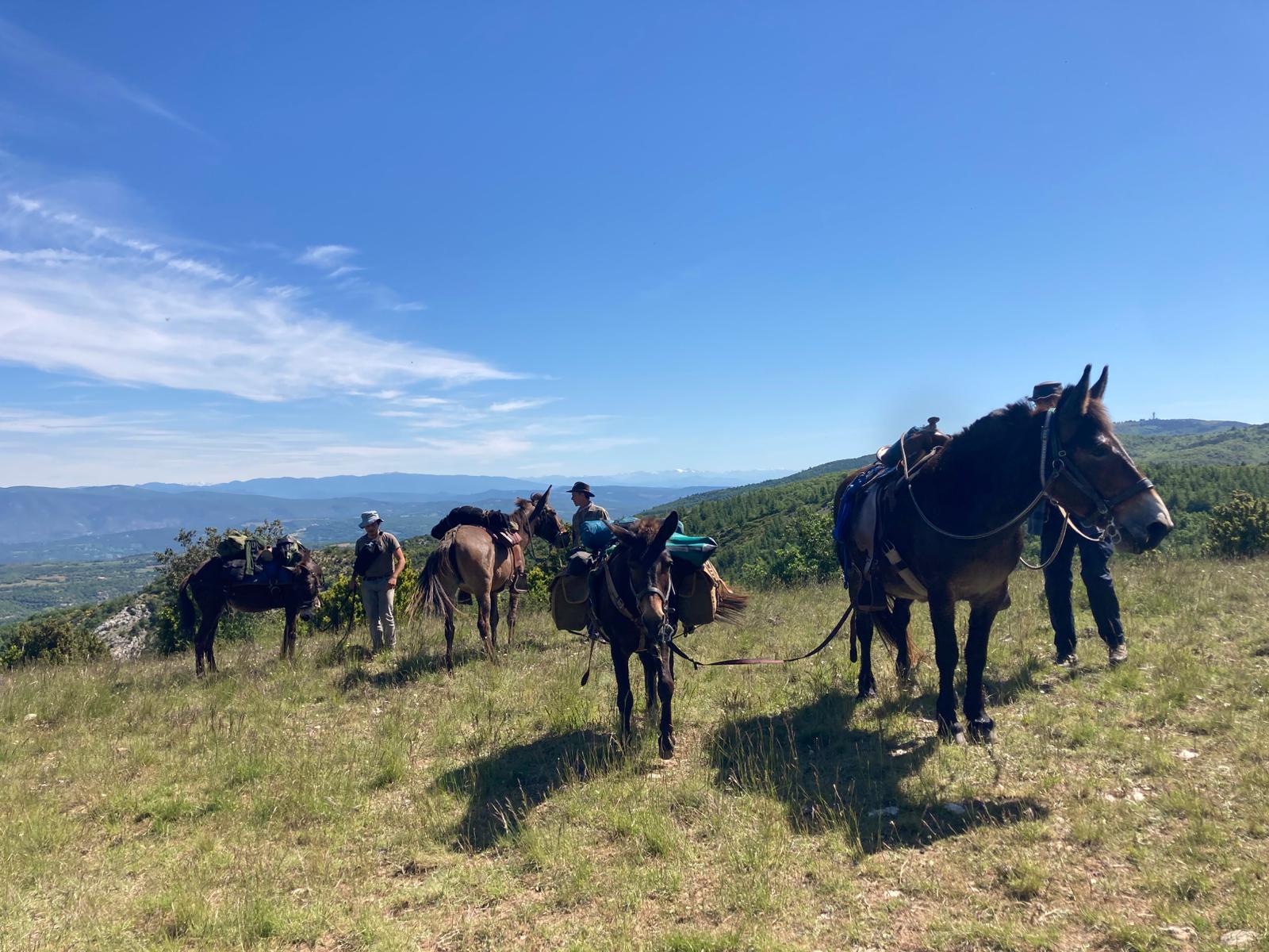 Petite Excursion dans le luberon