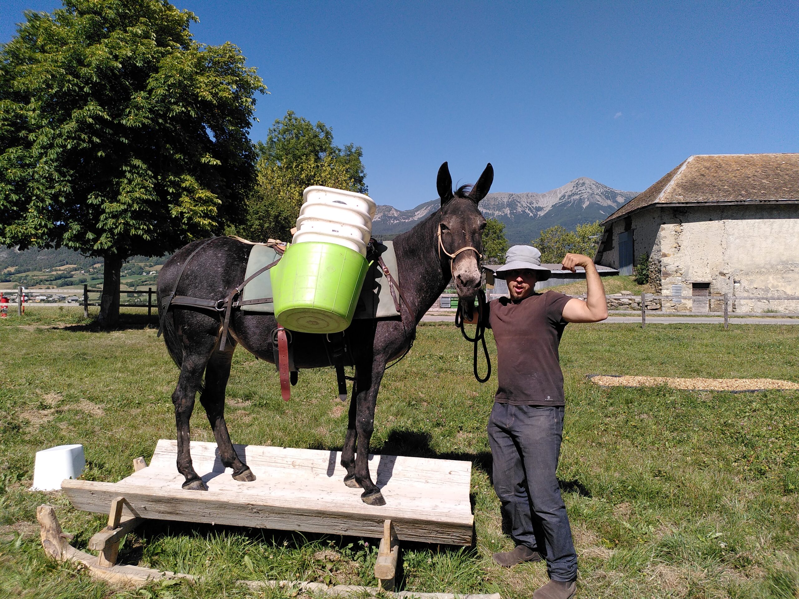 Mule En Seyne ! première édition